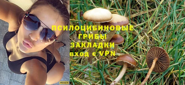 соль ск Арсеньев