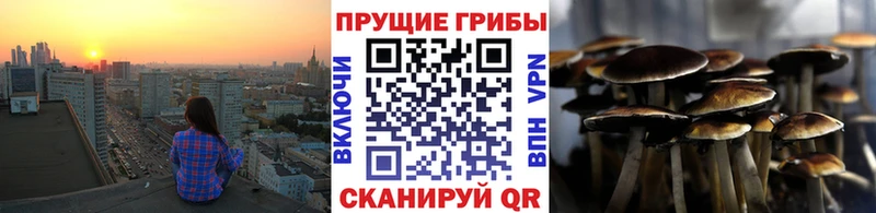 Псилоцибиновые грибы Psilocybe  Сочи 